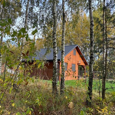 Domek Letniskowy Pod Brzozami Na Roztoczu Wsrod Lasow, Zamosc, Krasnobrod, Zwierzyniec Adamow  Kültér fotó