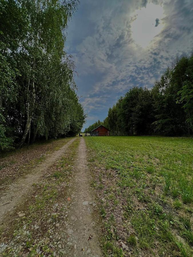 Domek Letniskowy Pod Brzozami Na Roztoczu Wsrod Lasow, Zamosc, Krasnobrod, Zwierzyniec Adamow  Kültér fotó