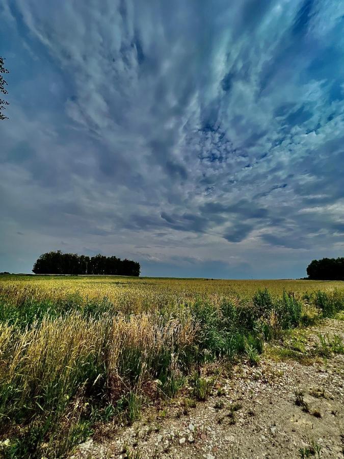 Domek Letniskowy Pod Brzozami Na Roztoczu Wsrod Lasow, Zamosc, Krasnobrod, Zwierzyniec Adamow  Kültér fotó