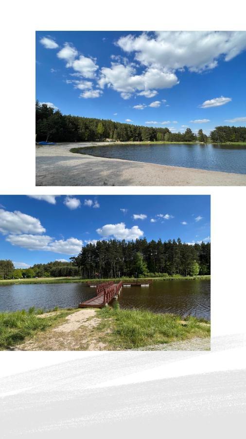 Domek Letniskowy Pod Brzozami Na Roztoczu Wsrod Lasow, Zamosc, Krasnobrod, Zwierzyniec Adamow  Kültér fotó