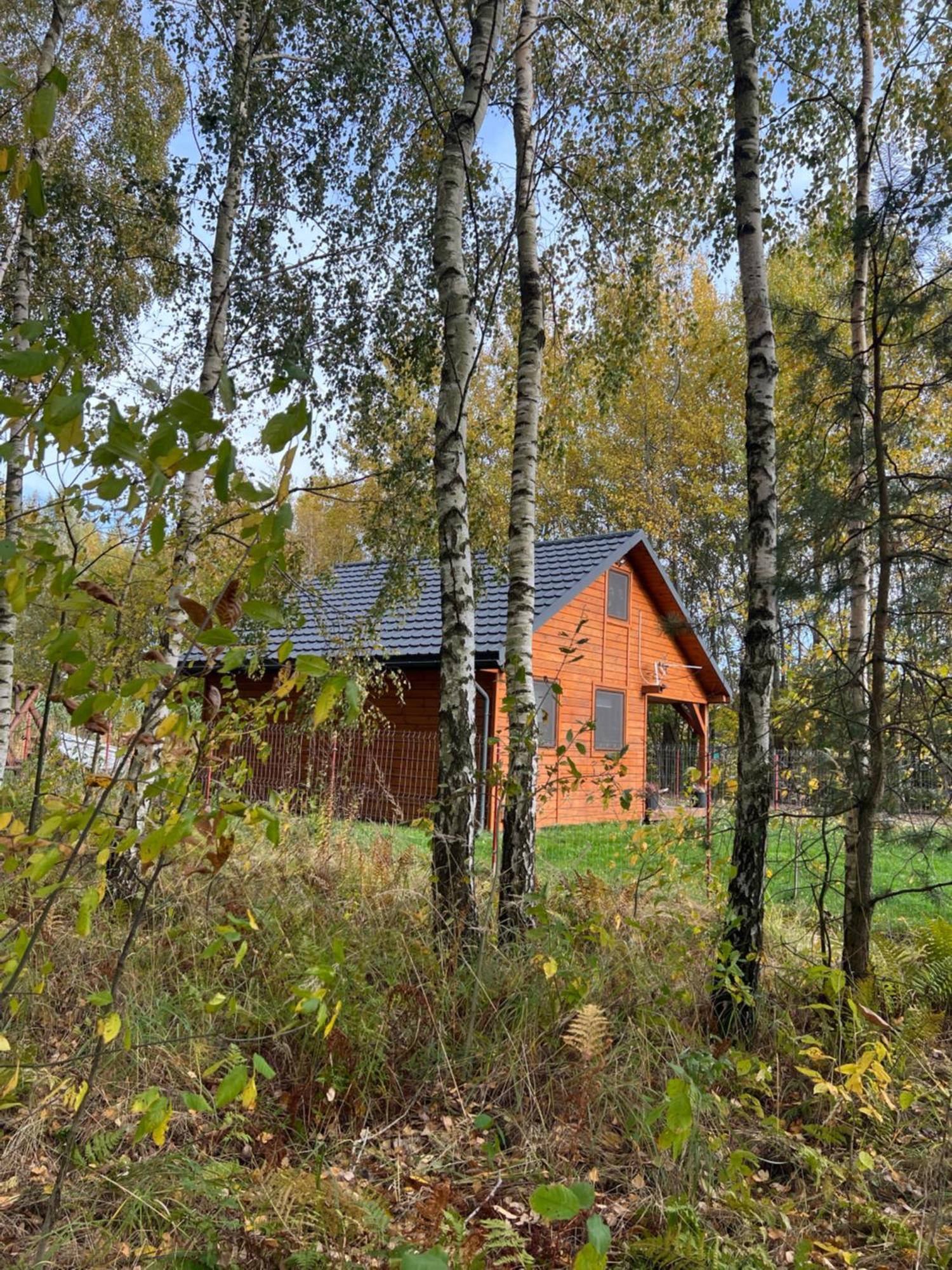 Domek Letniskowy Pod Brzozami Na Roztoczu Wsrod Lasow, Zamosc, Krasnobrod, Zwierzyniec Adamow  Kültér fotó